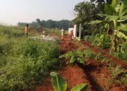 Kuasa Hukum Natura City Buka Suara, Sebut Tak Ada Konflik Lahan dengan Warga