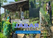 Monitoring Dan Evaluasi Pestisida Nabati, Pengaplikasian Mol Pupuk Dan Penerbangan Drone