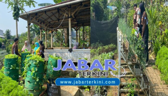 Monitoring Dan Evaluasi Pestisida Nabati, Pengaplikasian Mol Pupuk Dan Penerbangan Drone