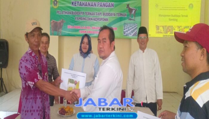 Desa Pasirlaja Adakan Pelatihan Ketahanan Pangan Budidaya Ternak Sapi, Budidaya Ternak Kambing Dan Hidroponik