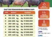 Mulai 13 Juta, Bima Jaya Farm Tawarkan Sapi Qurban Berkualitas dengan Gratis Perawatan dan Pengiriman