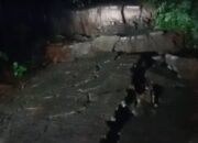 Baru Terjadi, Pergeseran Tanah di Malingping Putuskan Jalan Warga