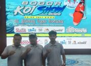 Kompetisi Koi Show 2026 Jadi Penggerak Ekonomi Pembudidaya Lokal